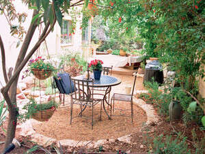 גינה ירושלמית ותיקה וצפופה שחולקה לחללי משנה גינה ירושלמית ותיקה וצפופה שחולקה לחללי משנה