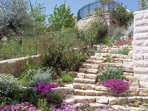 טראסה במושב שואבה טראסה במושב שואבה