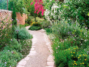 גינה בסגנון ים תיכוני בבית שמש גינה בסגנון ים תיכוני בבית שמש