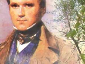 יומנו של מר דארסי יומנו של מר דארסי