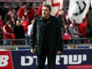 אלי גוטמן אלי גוטמן