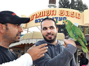 ����� ���� ��� ������� ������ �����