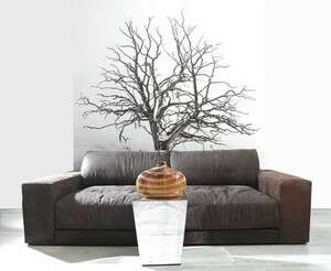 טפט מצולם של הגלריה טפט מצולם של הגלריה