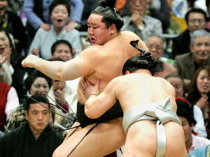 אחד הבילויים הפופולריים. מאבק סומו אחד הבילויים הפופולריים. מאבק סומו