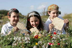 חוגגים פסח חוגגים פסח
