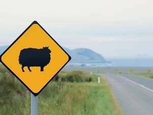 ������ �����