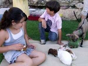 פינת ליטוף בקניון שבעת הכוכבים פינת ליטוף בקניון שבעת הכוכבים