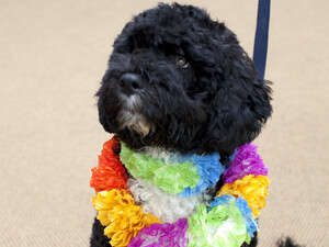 ���� ���� �� ����� �����