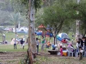 קרש הצלה איזורי. פארק הירדן קרש הצלה איזורי. פארק הירדן