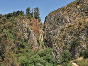 ���� ������ ����-���. ��� ����