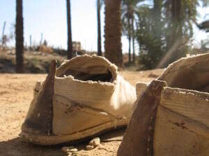 �� ����� �� ����.