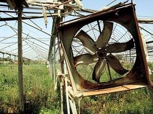 ������ �� ����� ����.