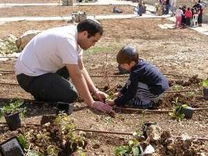 ����� �������� ��������