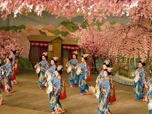 אחד מהסמלים הבולטים ביפן. ריקוד מסורתי לרגל פריחת הדובדבן אחד מהסמלים הבולטים ביפן. ריקוד מסורתי לרגל פריחת הדובדבן