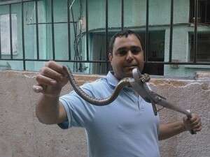 אבי אמרן והנחש אבי אמרן והנחש