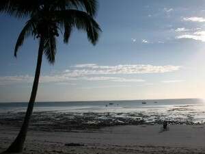 לפי קצב הטבע. זנזיבר לפי קצב הטבע. זנזיבר