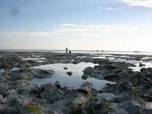 הסירות הן מקור פרנסה חשוב. חופי זנזיבר הסירות הן מקור פרנסה חשוב. חופי זנזיבר