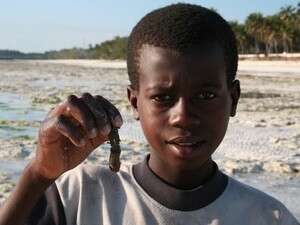 מדי שנה יצאו מזנזיבר כ-3,000 עבדים. ילד מקומי מדי שנה יצאו מזנזיבר כ-3,000 עבדים. ילד מקומי