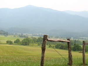 ��� ����� �������. ������ ����� ������ �� ��� ������