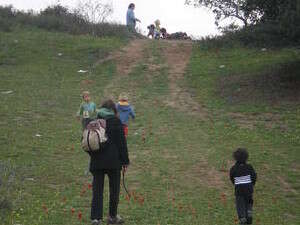 ������� ����� �����. ����� ���� ����� ������