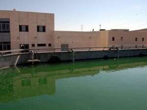 ���� ����� ������ �������, ���� ������ ���� 2.8 ������ ���