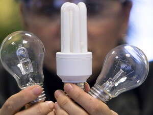 ���� ������ ���� �������, ���� ��������