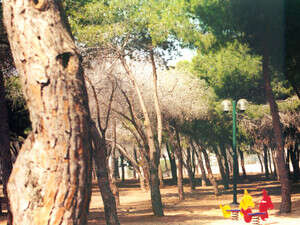 ������� �������� ������ ����