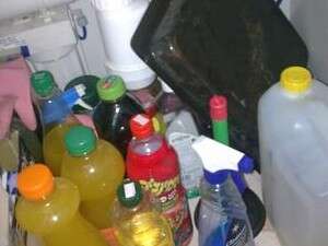 גן בשכונת נווה צדק גן בשכונת נווה צדק