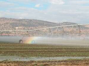 ��� �����. ����� ������� ���� ���� ������� ������ �� ������