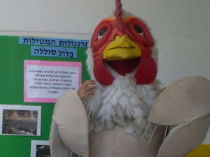 פעילות למען ביצי החופש בבית הספר לטבע פעילות למען ביצי החופש בבית הספר לטבע
