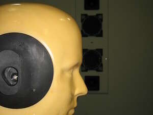 ג'ו מהמעבדה הביו-אקוסטית ג'ו מהמעבדה הביו-אקוסטית