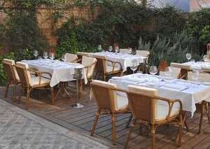 הגינה של כתית הגינה של כתית