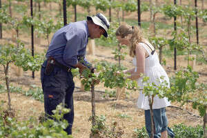 ����� �� ������. ���� ����