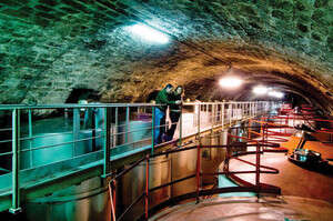 ���� ����