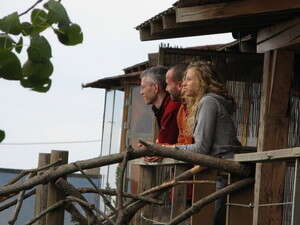 ����� �����, ������, ���� �������. ������ ���� ����