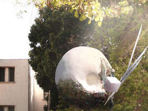 ���� �� �� ������ ��� ������. ���� �� ���