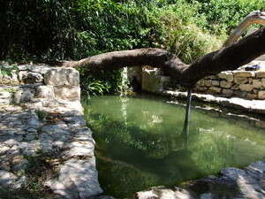 ���� �� ��� �����. ����� ��� �����