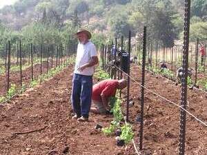 יקב נעמן יקב נעמן