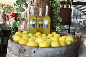 לימונצ'לו לימונצ'לו