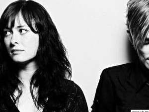 גוון הייוורת גוון הייוורת