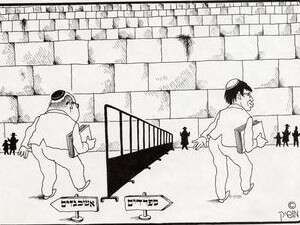 , 1981.  
