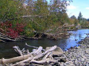 ��� ����, ���������