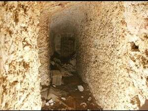 ������ ������