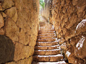 ������ ������� ����� ������. ������