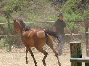 J��� ������ �� ���� ����� �������