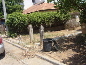 ���� ������ �������� ������ 