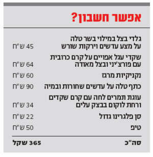 סקאלה סקאלה
