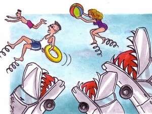 מזנקים אל הכביש תוך כדי מלמולי תפילה. מזנקים אל הכביש תוך כדי מלמולי תפילה.