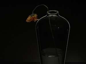 ���� ����� ����� �����!