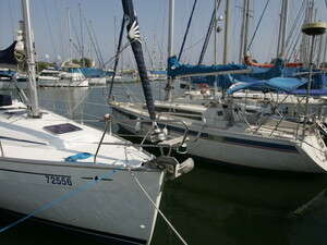 ������ ������ ����� ������, ����.